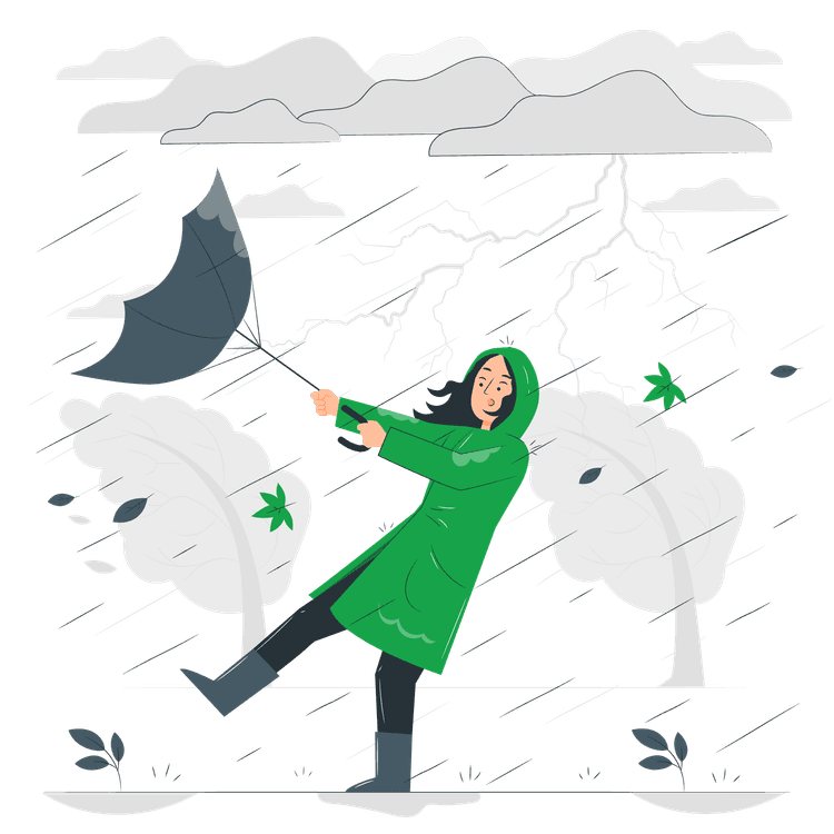 No success stories yet